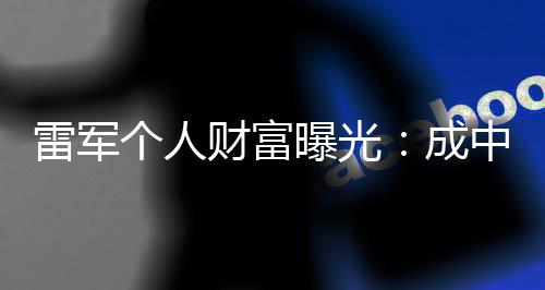 家中国增长最多个人雷军企业曝光财富成财富
